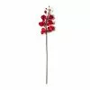Promo ⭐ Red Tropical Orchid Stem by Ashland® 🤩