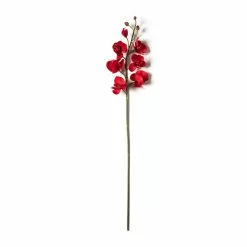 Promo ⭐ Red Tropical Orchid Stem by Ashland® 🤩