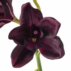 Best deal 🔔 Tropical Cymbidium Spray by Ashland® 🌟 -Michaels Store 10230919 20