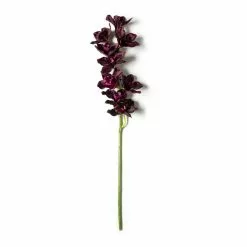 Best deal 🔔 Tropical Cymbidium Spray by Ashland® 🌟