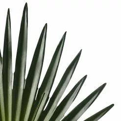 Wholesale ✨ Tropical Fan Palm Stem by Ashland® 🧨 -Michaels Store 10230923 20