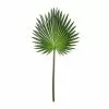 Wholesale ✨ Tropical Fan Palm Stem by Ashland® 🧨 -Michaels Store 10230923 21