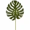 Budget 🎁 6 Pack: Green Monstera Leaf Stem by Ashland® 🔔 -Michaels Store 10230926