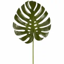 Budget 🎁 6 Pack: Green Monstera Leaf Stem by Ashland® 🔔