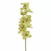 Cheapest 🧨 8 Pack: Pale Green Boat Orchid Stem by Ashland® ✔️ -Michaels Store 10230928
