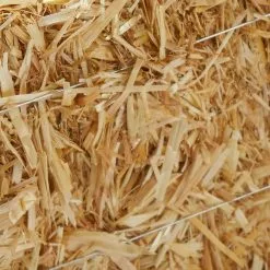 Best Pirce ✨ Decorative Straw Bale by Ashland® ⌛ -Michaels Store 10234532 13