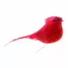 Discount 🔔 24 Pack: Small Cardinal Bird by Ashland® ⭐