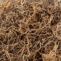 Wholesale 🤩 Natural Spanish Moss by Ashland® ⌛ -Michaels Store 10254250 22