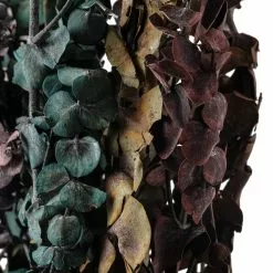 New ⭐ Ashland® Eucalyptus Bunch, 8 oz Tri-Colored 🥰 6 New ⭐ Ashland® Eucalyptus Bunch, 8 oz Tri-Colored 🥰 -Michaels Store 10259689 20