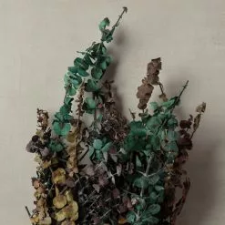 New ⭐ Ashland® Eucalyptus Bunch, 8 oz Tri-Colored 🥰 7 New ⭐ Ashland® Eucalyptus Bunch, 8 oz Tri-Colored 🥰 -Michaels Store 10259689 25