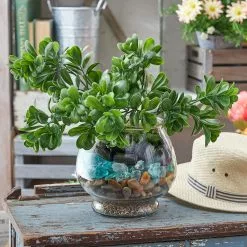 Outlet 👏 Ashland® Terrarium 🎁 5 Outlet 👏 Ashland® Terrarium 🎁 -Michaels Store 10259799 11