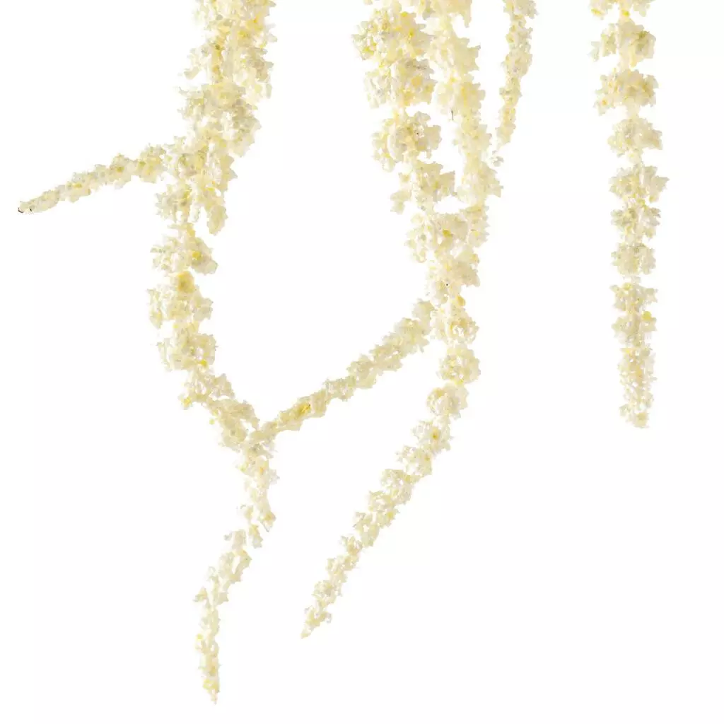 Budget ⌛ Cream Amaranthus Stem by Ashland® ⭐ 5 Budget ⌛ Cream Amaranthus Stem by Ashland® ⭐ - Image 3