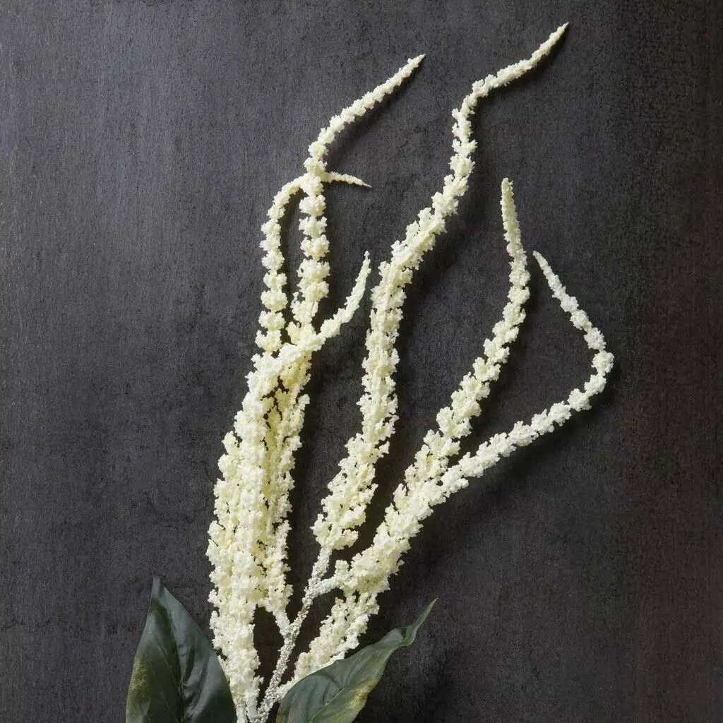 Budget ⌛ Cream Amaranthus Stem by Ashland® ⭐ 4 Budget ⌛ Cream Amaranthus Stem by Ashland® ⭐ - Image 2