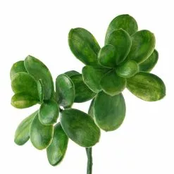 Discount 😍 Green Crassula Spray by Ashland® ⌛ -Michaels Store 10262977 20