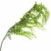 Best Pirce ⌛ 12 Pack: Green Weeping Fern Spray by Ashland® 😉 -Michaels Store 10263117