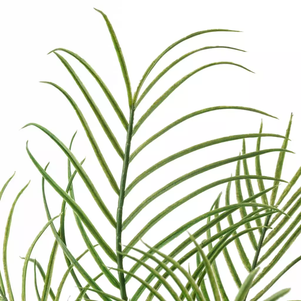 Outlet π Palm Plant Bush by Ashland® β€οΈ 5 Outlet π Palm Plant Bush by Ashland® β€οΈ - Image 3