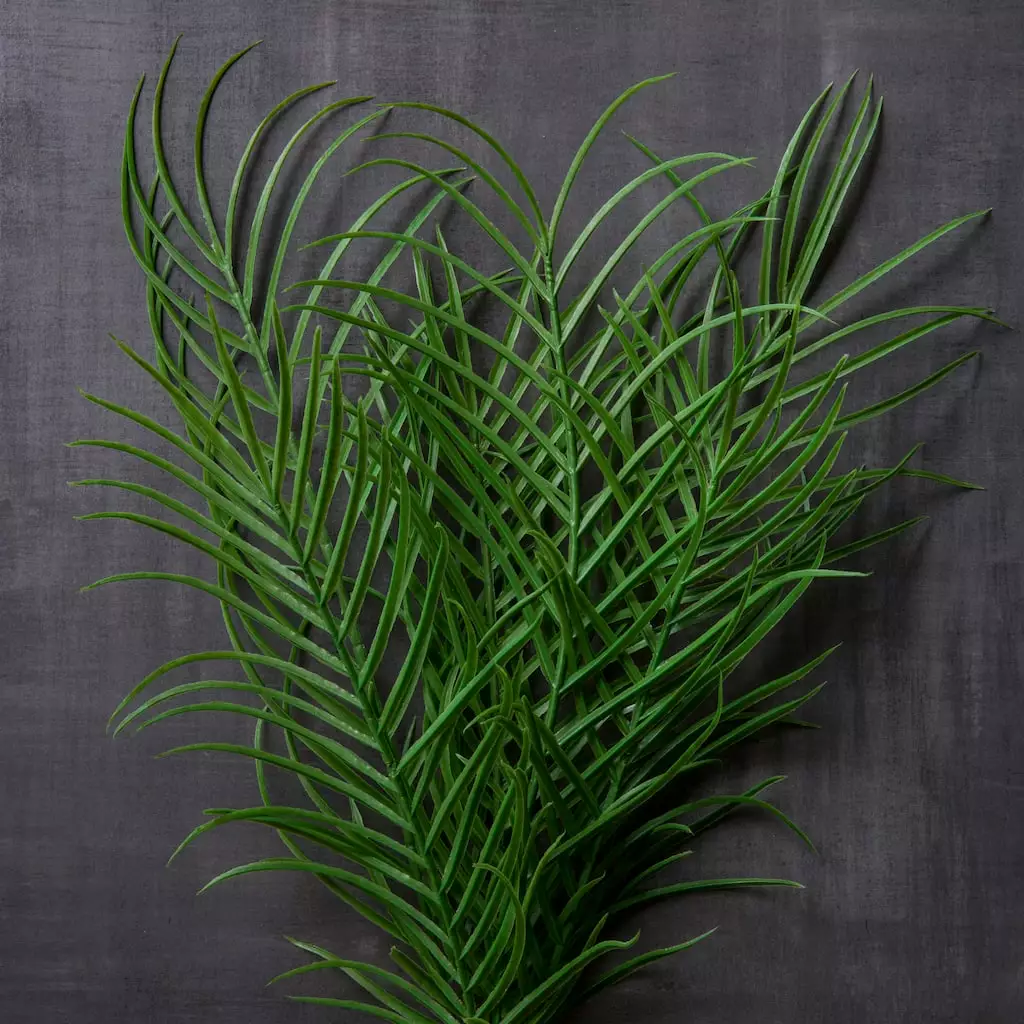 Outlet π Palm Plant Bush by Ashland® β€οΈ 4 Outlet π Palm Plant Bush by Ashland® β€οΈ - Image 2