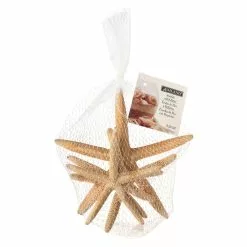 Hot Sale ⌛ Ashland™ Glitter Starfish 🔥 -Michaels Store 10276723 30