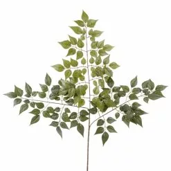 Coupon ❤️ 24 Pack: Green China Dollar Spray by Ashland® ❤️