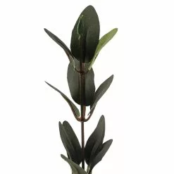 Flash Sale 🤩 Huckleberry Leaf Spray by Ashland® ⭐ -Michaels Store 10292555 20