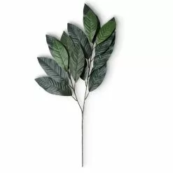 Discount ❤️ Green Magnolia Leaf Spray Floral Essentials Collection by Ashland® 🎉 -Michaels Store 10292556 21