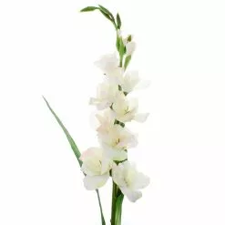 Best Sale ✨ White Gladiolus Stem by Ashland® 🎉