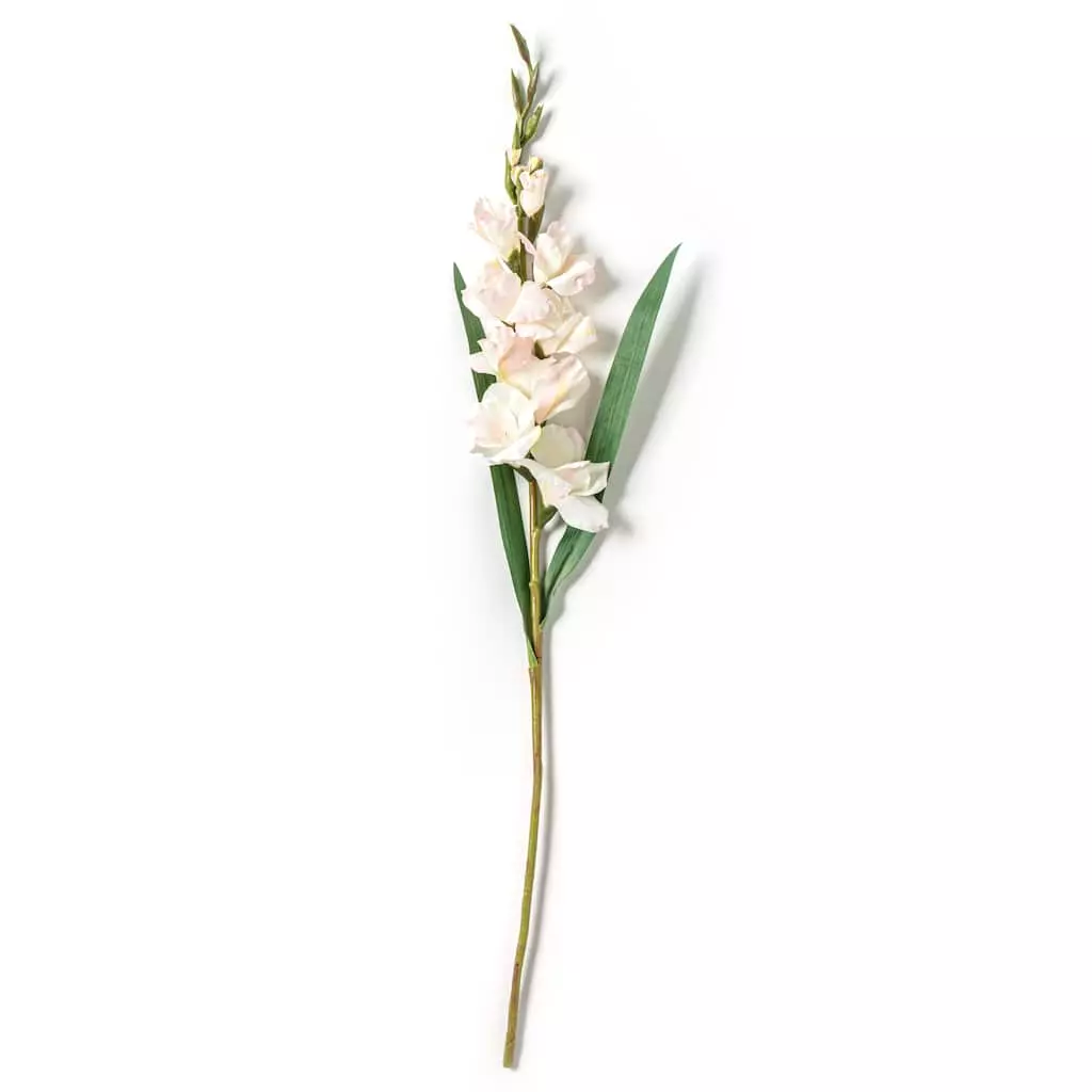 Best Sale β¨ White Gladiolus Stem by Ashland® π 4 Best Sale β¨ White Gladiolus Stem by Ashland® π - Image 2