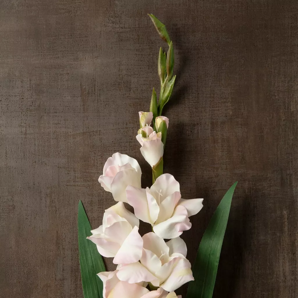 Best Sale β¨ White Gladiolus Stem by Ashland® π 6 Best Sale β¨ White Gladiolus Stem by Ashland® π - Image 4