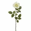 Best reviews of 🎁 16 Pack: Ivory Princess Rose Stem by Ashland® 👏 -Michaels Store 10297096