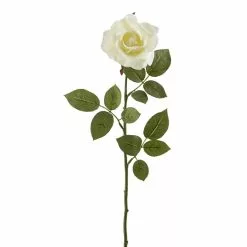 Best reviews of 🎁 16 Pack: Ivory Princess Rose Stem by Ashland® 👏