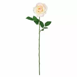 Best reviews of ✔️ 12 Pack: White Princess Rose Stem by Ashland® 🔔