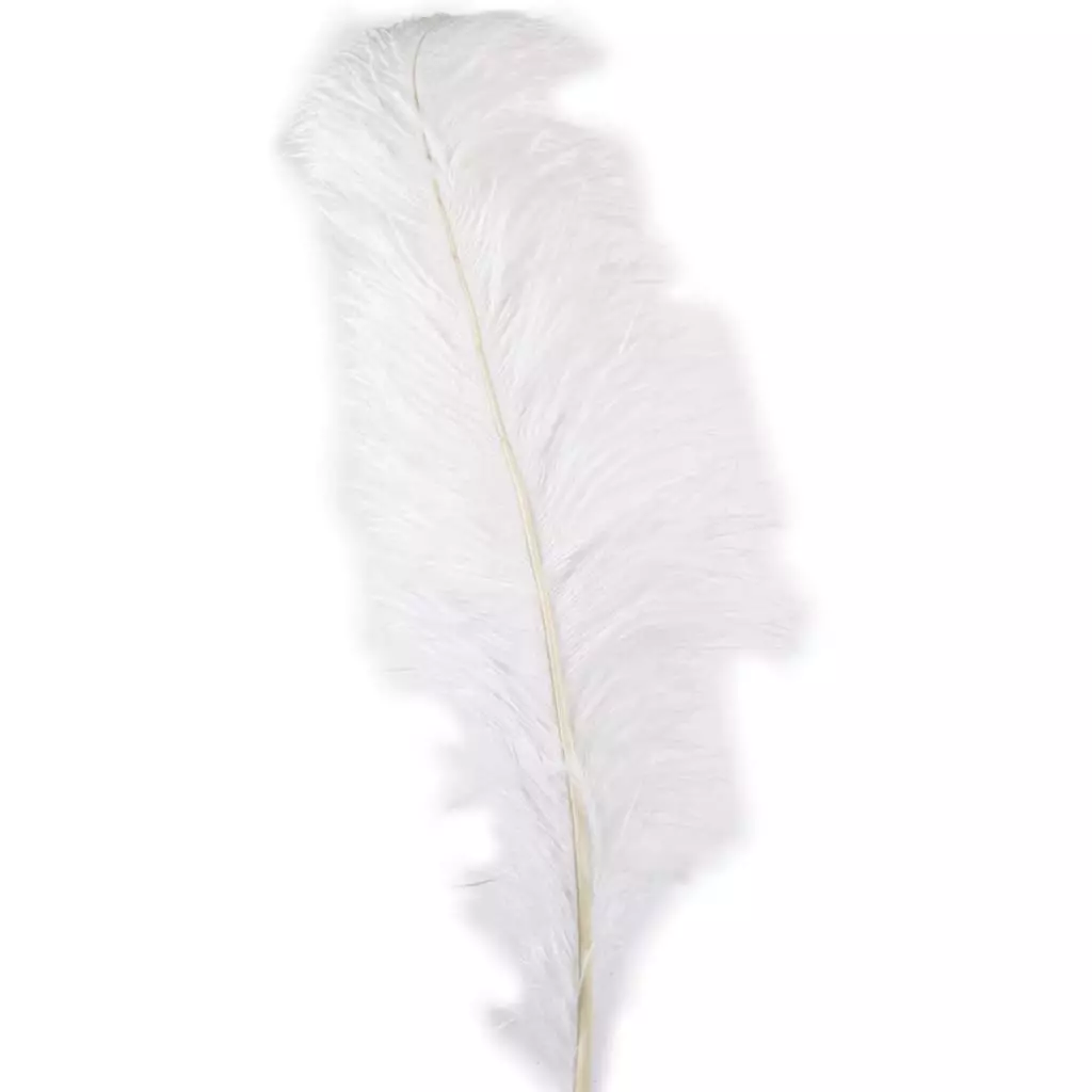 Budget 🤩 12 Pack: Ivory Ostrich Feather by Ashland® 👏 3 Budget 🤩 12 Pack: Ivory Ostrich Feather by Ashland® 👏