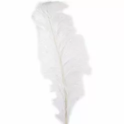 Wholesale 👏 Ashland® Feather, Ostrich, Ivory 🎉