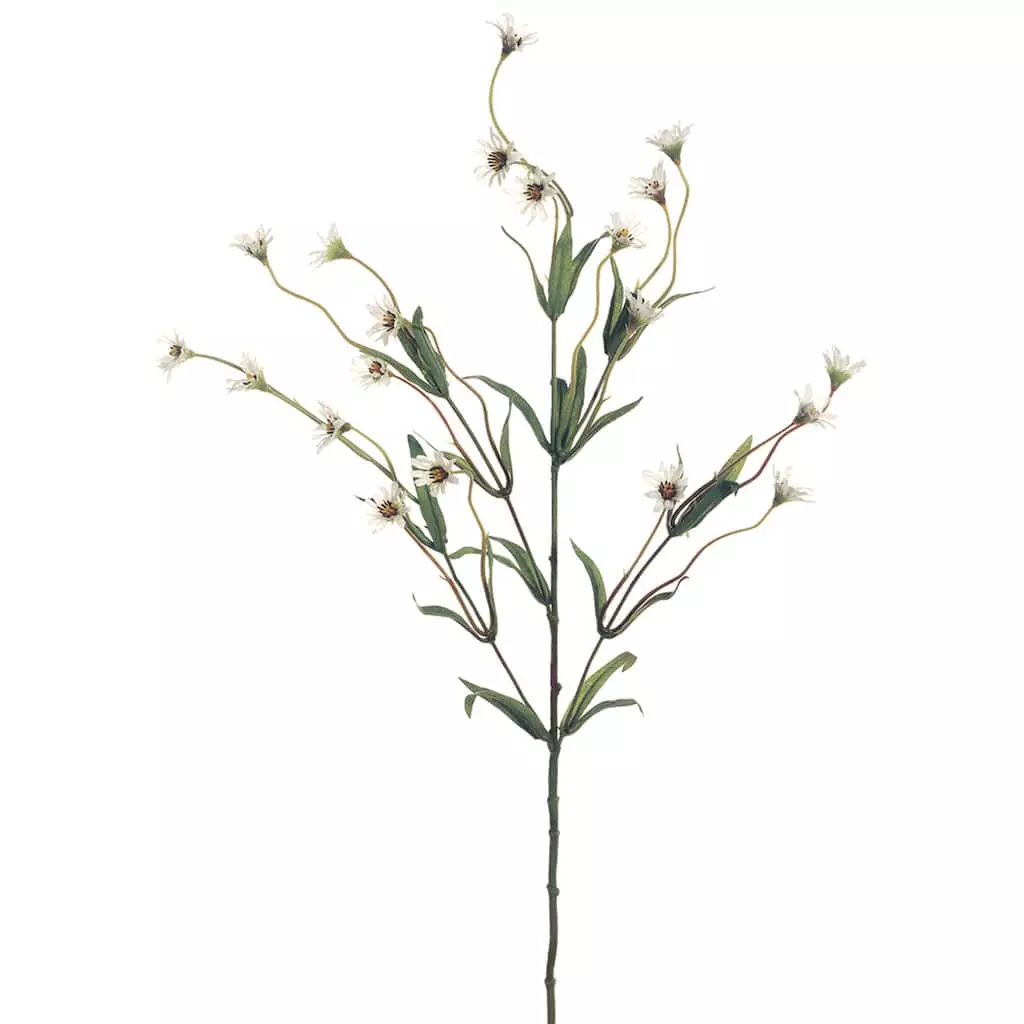 Top 10 โ๏ธ Wild Daisy Spray by Ashland® ๐ 3 Top 10 โ๏ธ Wild Daisy Spray by Ashland® ๐