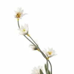 Top 10 โ๏ธ Wild Daisy Spray by Ashland® ๐ 7 Top 10 โ๏ธ Wild Daisy Spray by Ashland® ๐ -Michaels Store 10302183 20