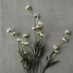 Top 10 โ๏ธ Wild Daisy Spray by Ashland® ๐ 9 Top 10 โ๏ธ Wild Daisy Spray by Ashland® ๐ -Michaels Store 10302183 25