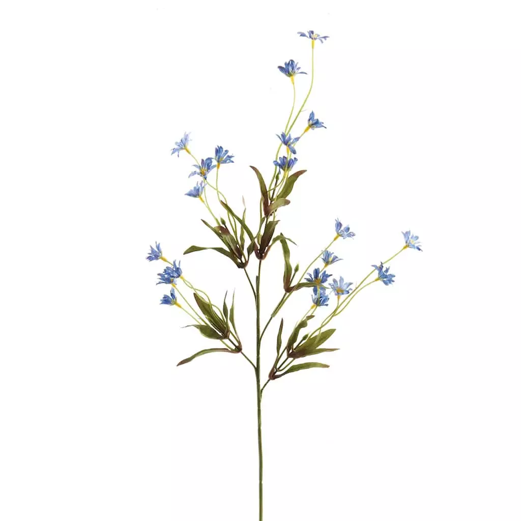 Coupon 🛒 Wild Daisy Spray by Ashland® ⭐ 3 Coupon 🛒 Wild Daisy Spray by Ashland® ⭐