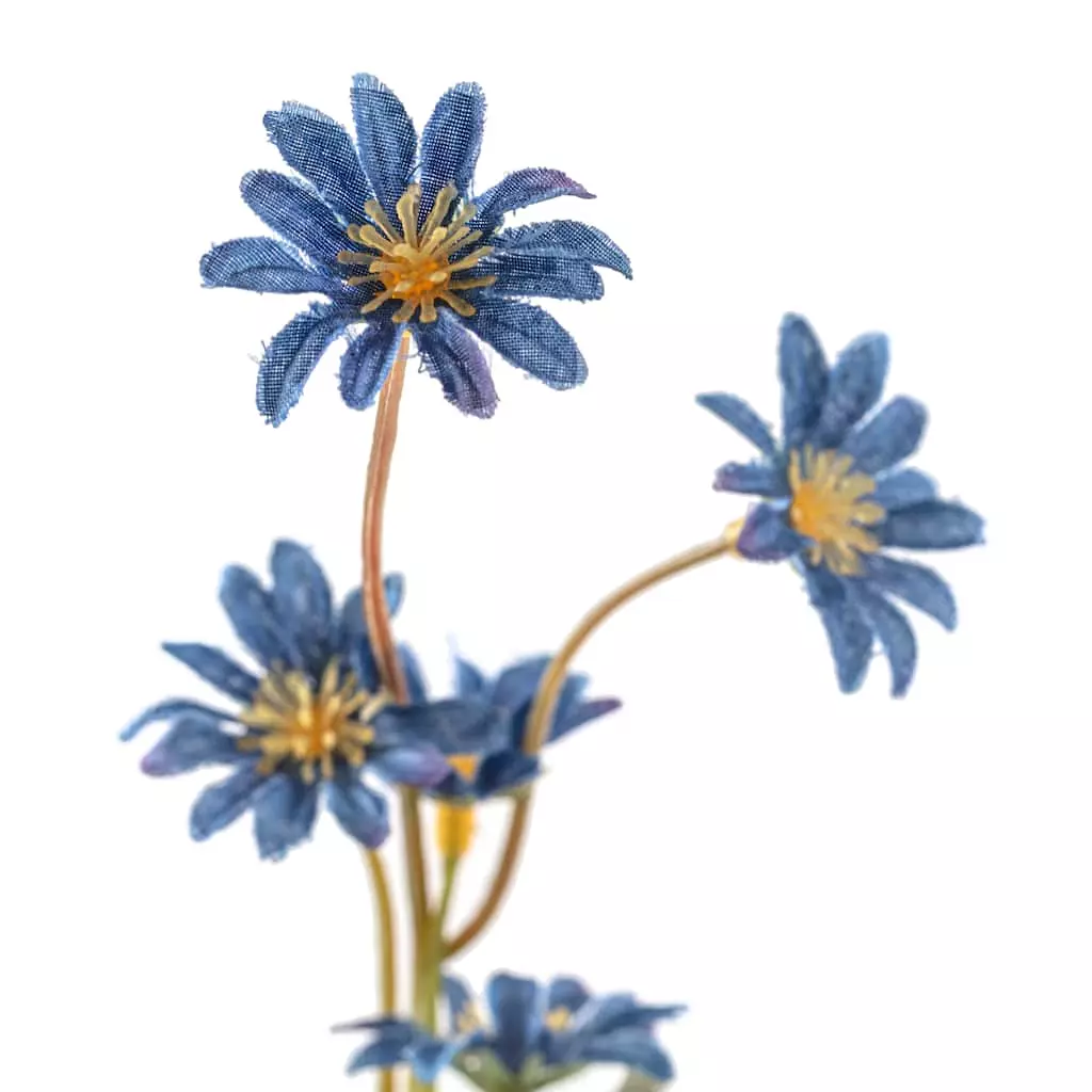 Coupon 🛒 Wild Daisy Spray by Ashland® ⭐ 5 Coupon 🛒 Wild Daisy Spray by Ashland® ⭐ - Image 3