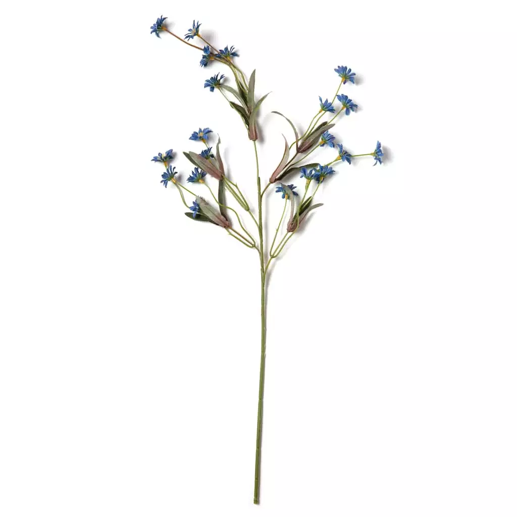 Coupon 🛒 Wild Daisy Spray by Ashland® ⭐ 6 Coupon 🛒 Wild Daisy Spray by Ashland® ⭐ - Image 4