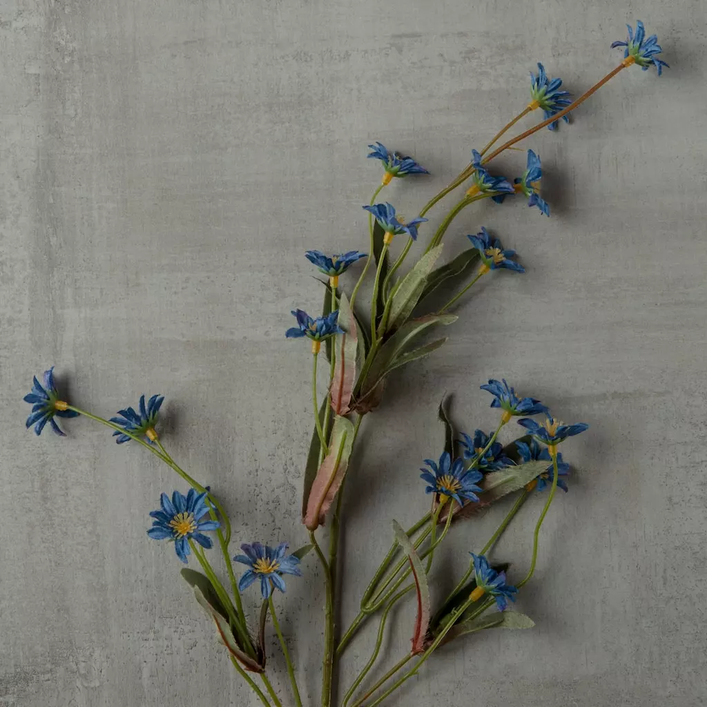 Coupon 🛒 Wild Daisy Spray by Ashland® ⭐ 4 Coupon 🛒 Wild Daisy Spray by Ashland® ⭐ - Image 2