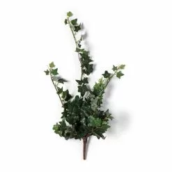 Flash Sale ⌛ Assorted Mini English Ivy Bush by Ashland® 🧨