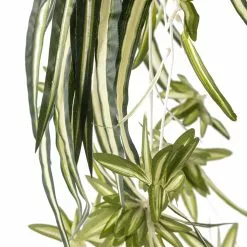 Buy ⌛ Variegated Spider Bush Classic Greenery Collection by Ashland® ✨ -Michaels Store 10308650 20