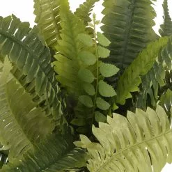 Promo ✔️ Boston Fern Bush Fern Collection by Ashland® ✔️ -Michaels Store 10309260 2