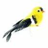Top 10 ⭐ 24 Pack: Finch Bird by Ashland® 😉 -Michaels Store 10309954