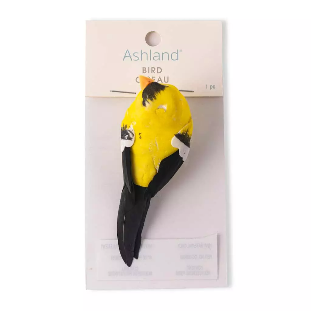 Best reviews of ⭐ Finch Bird by Ashland® 👏 5 Best reviews of ⭐ Finch Bird by Ashland® 👏 - Image 3