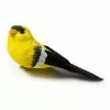 Best reviews of ⭐ Finch Bird by Ashland® 👏 -Michaels Store 10309954 21