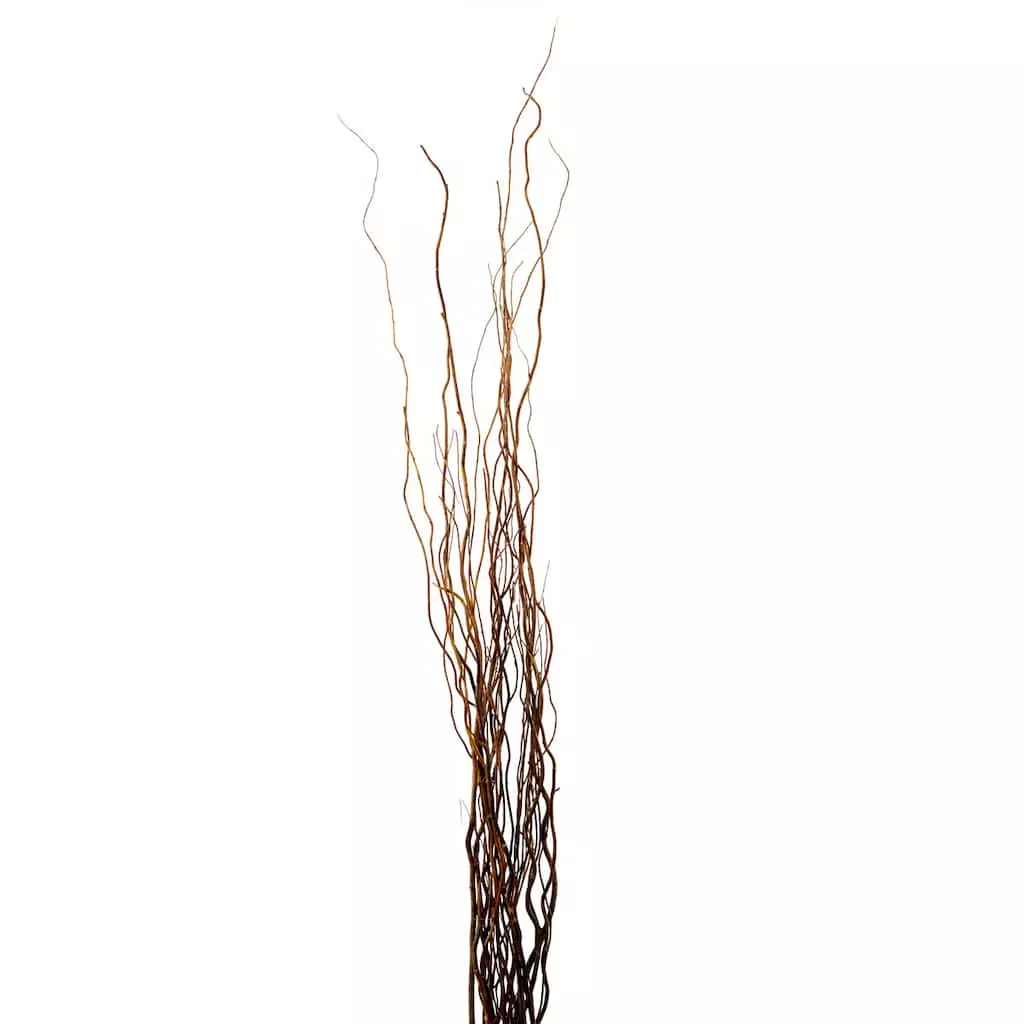 Brand new ✨ Natural Curly Willow by Ashland® ⭐ 3 Brand new ✨ Natural Curly Willow by Ashland® ⭐