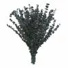 Flash Sale 🤩 Green Eucalyptus Bunch by Ashland®, 16oz. ✨ -Michaels Store 10322552 1