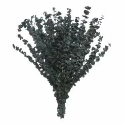 Flash Sale 🤩 Green Eucalyptus Bunch by Ashland®, 16oz. ✨
