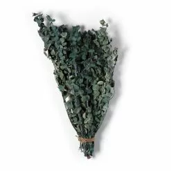 Flash Sale 🤩 Green Eucalyptus Bunch by Ashland®, 16oz. ✨ -Michaels Store 10322552 21